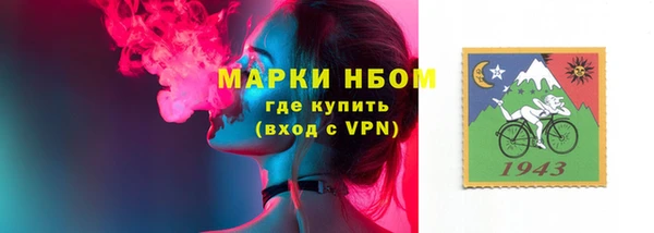твердый Елизово